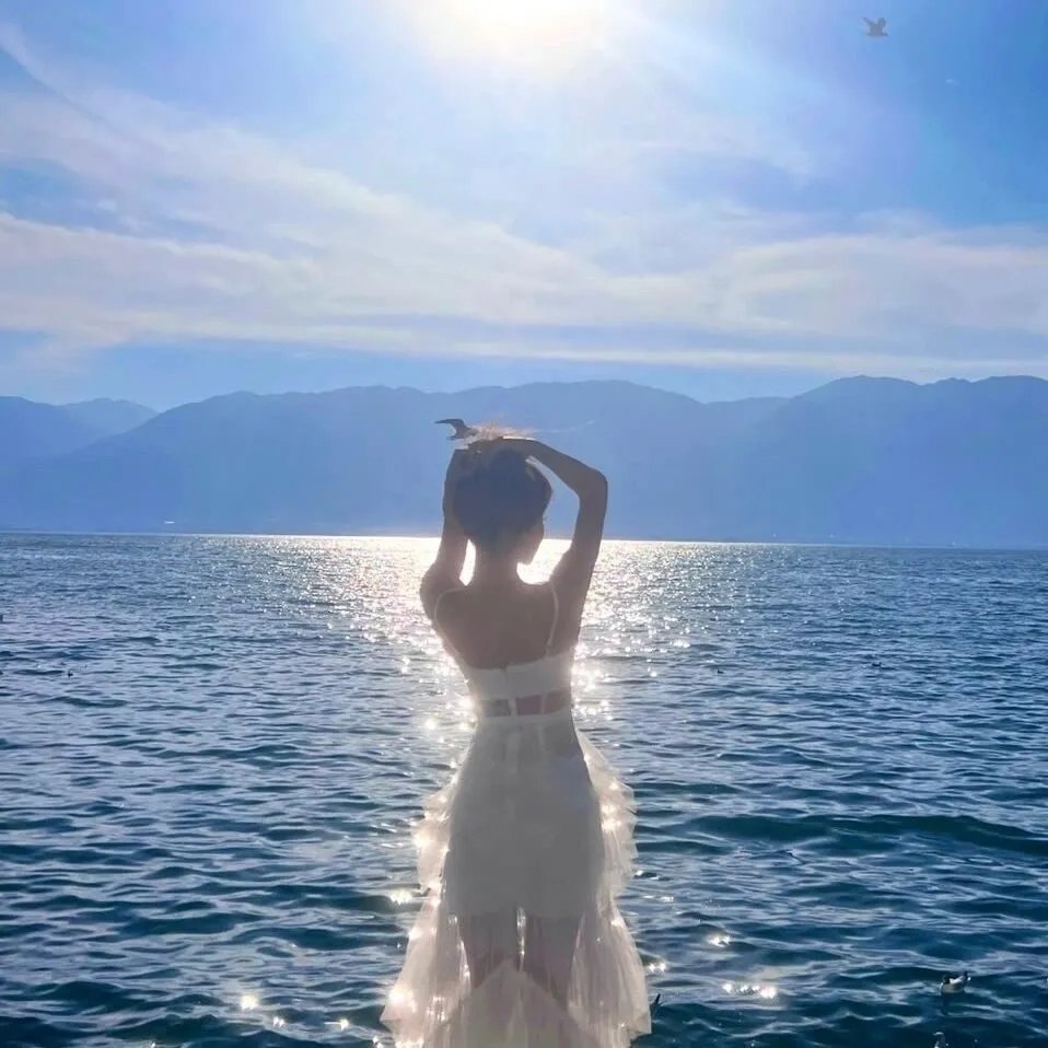 美国谍梦第四季